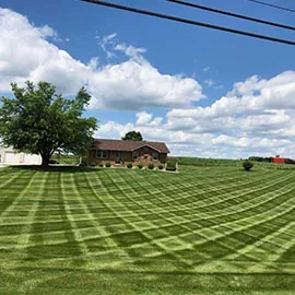 Season To Season Landscaping And Curbing 