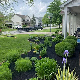 Season To Season Landscaping And Curbing 