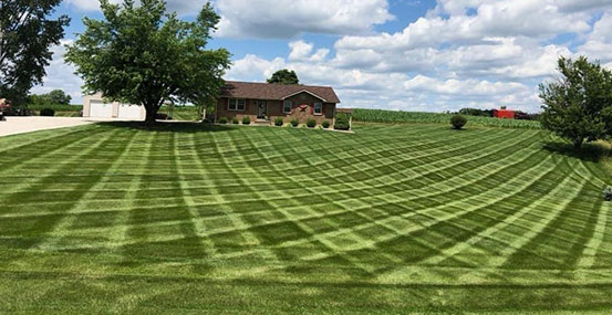 Mowing Services